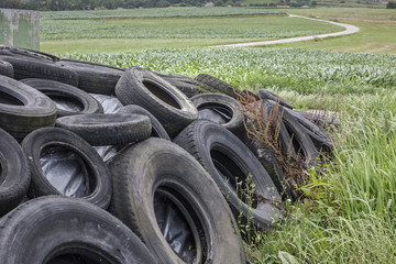 ACUMULACIÓN DE RUEDAS EN UN CAMPO