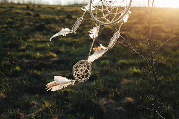 dreamcatcher hanging from a tree in a field at sunsetd