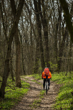 Cyclist Riding the Bike