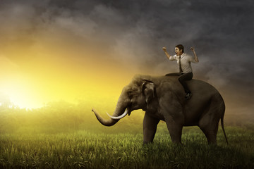 Asian business man riding elephant