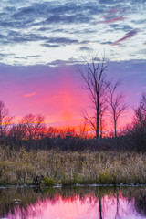 Obraz premium colorful rural sunset scene in late autumn