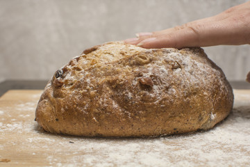 wheat flour with a fresh warm bread  touching by hand