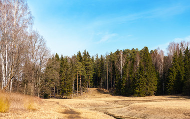 Spring landscape in the Pavlovsk