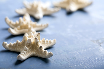 Starfishes on the blue surface