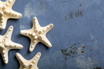 Starfishes on the blue surface