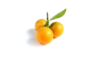 Kumquat on white background