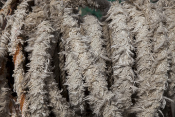 old sailor rope
