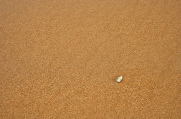 Alone stone on the yellow sand, Morocco, Aglu beach