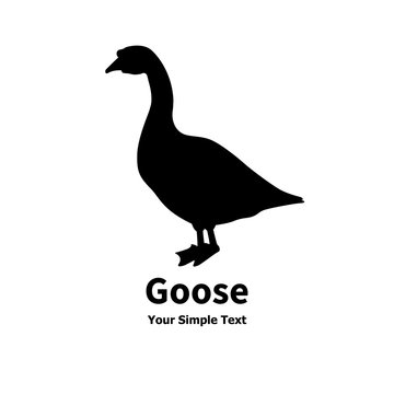Vector illustration of a pet goose