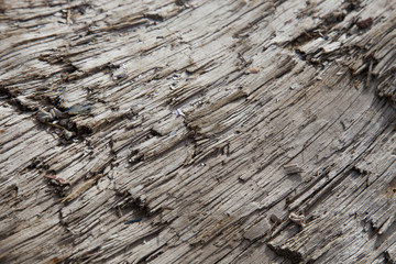 old wooden background
