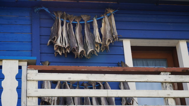 Stockfisch aus Norwegen