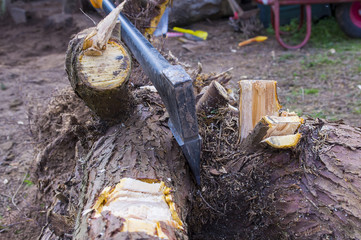 The ax stuck in a log.