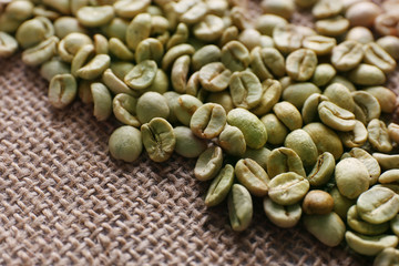 Green coffee beans on sackcloth
