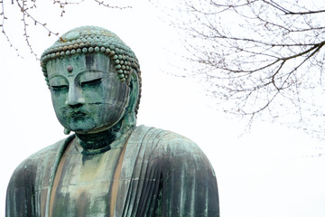 The famous great buddha is located in kamakura, japan.