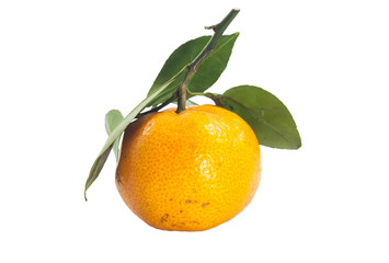 Single thai orange fruit with green leaf