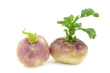 freshly harvested spring turnips (Brassica rapa) on a white background