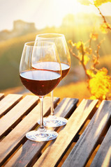 Wine against vineyards in Lavaux, Switzerland