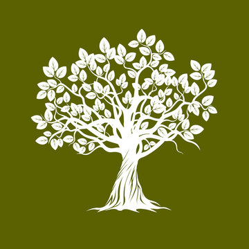 Vector Illustration of Tree.