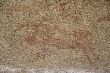 Cave painting Taurus in the Philips Cave at Ameib Farm in Erongo Mountains, Namibia Africa