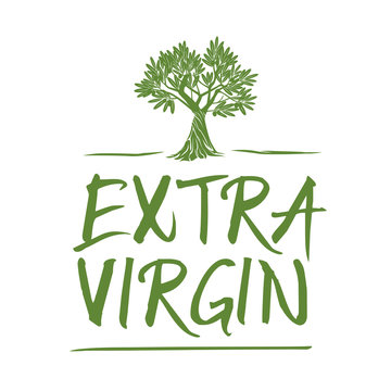 Vector Green Olive Tree. Extra Virgin.