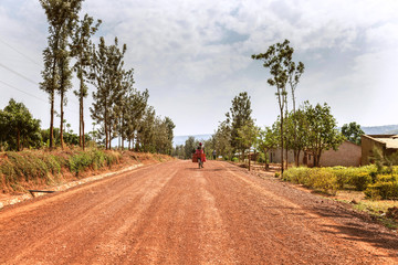 Kızıl Afrika toprağında bisiklet süren adam. Ağaç yolun ortasında ve uzaklaşmaya...