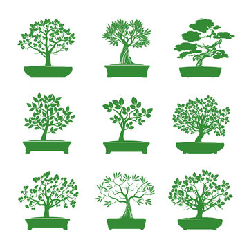 Green shape of Bonsai Trees. Vector Illustration.