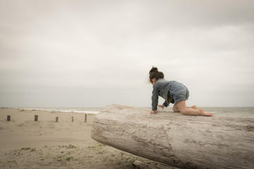 Fototapeta na wymiar 砂浜の流木で遊ぶ女の子
