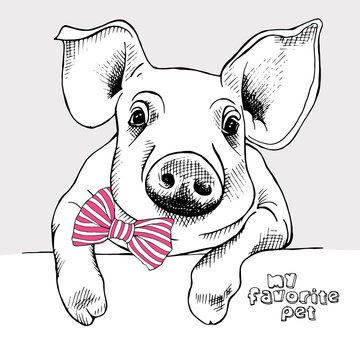 Image of a small pig with a bow. Vector illustration.