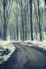 Winter forest road with dark trees, ground covered with snow