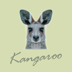 Vector Illustrated portrait of Kangaroo.