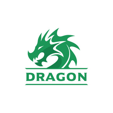Dragon Head Logo Template, Dragon Brand identity, Dragon logo vector