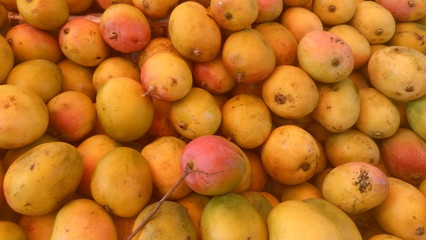Full frame shot of mangoes for sale © Hemant Jain