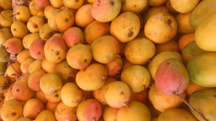 Naklejka na ściany i meble Full frame shot of mangoes for sale