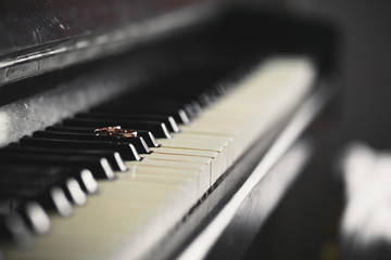 wedding rings on the old piano keys close up