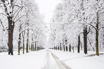 Parklandschaft im Winter in Dresden