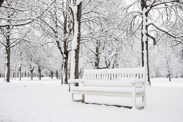 Parklandschaft im Winter in Dresden