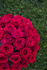 Bouquet of red roses in a box on the grass