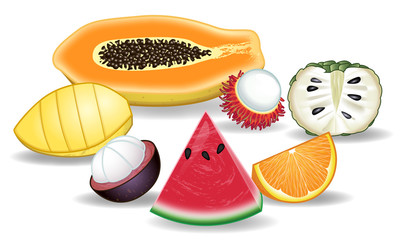 Tropical fruit illustrate