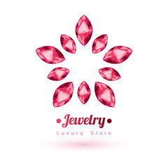 red gemstones jewelry symbol. Star shape.