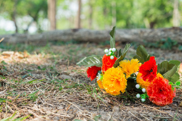 Obraz premium flowers in the park