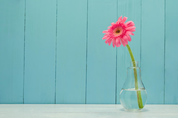 Fototapeta na wymiar Pink Gerbera daisy flower in bulb glass vase