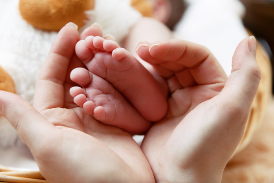 Cute little baby's feet in mother's hands