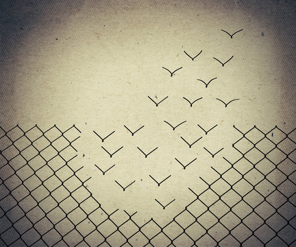 magical escape. Metallic wire mesh transform into flying birds. Old paper, vintage background