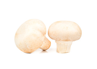 Raw mushroom champignon