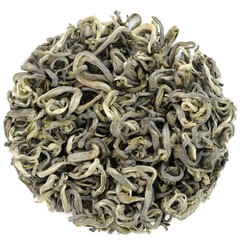 Fresh leaf green tea isolated