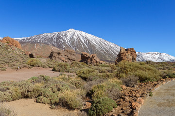 View to the Teide.