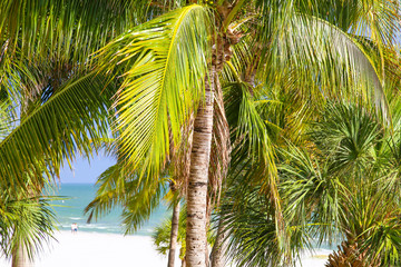 Picture-perfect Paradise