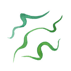 Fototapeta premium Watercolor objects