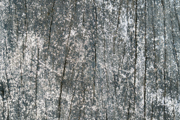 Fototapeta premium Wooden wall