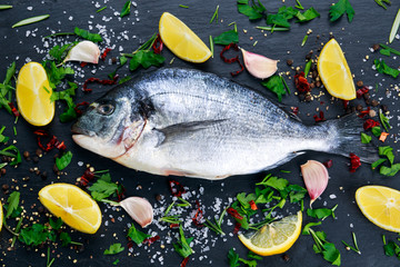 Fresh Raw Sea Bream Fish on blue stone background.